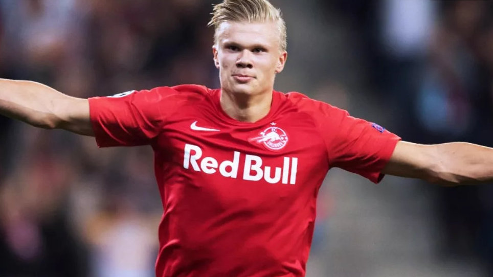 向日葵游戏版安装教程分享